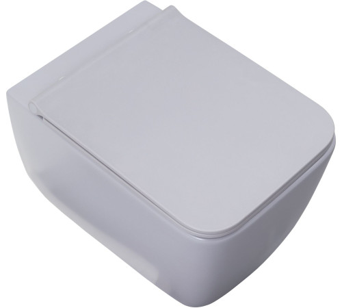 Чаша подвесного унитаза Allen Brau Liberty 4.33007.AN антрацит