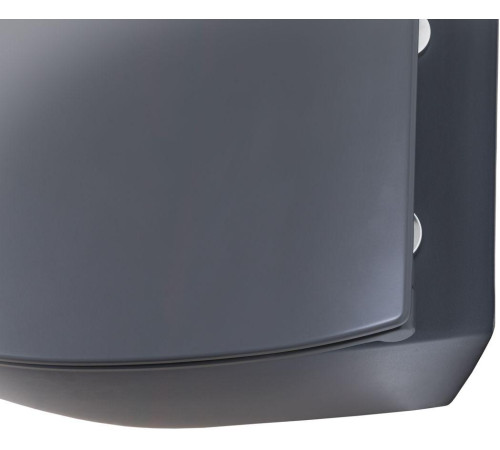 Чаша подвесного унитаза Allen Brau Fantasy 4.11004.AN антрацит