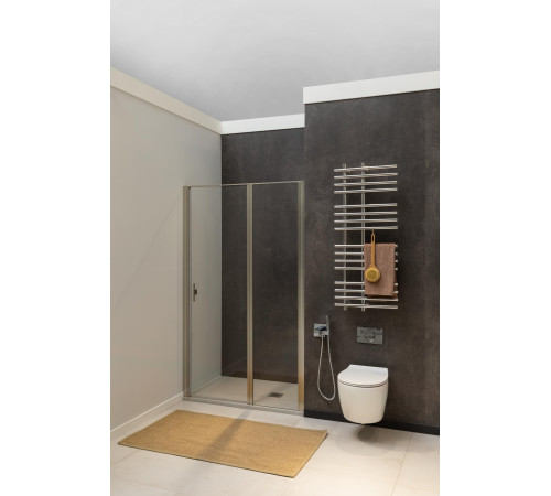 Душевая дверь Allen Brau Priority 120 3.31032.BA серебро браш