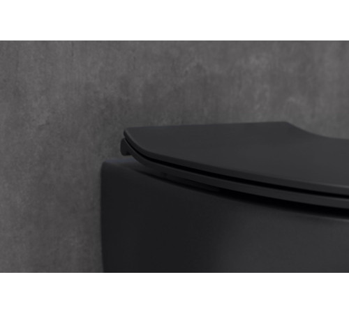 Крышка-сиденье для унитаза Allen Brau Fantasy Smartfix, Soft-Close 4.11005.31 черный матовый