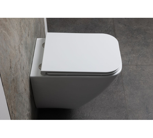 Чаша подвесного унитаза Allen Brau Liberty 4.33011.20 белый