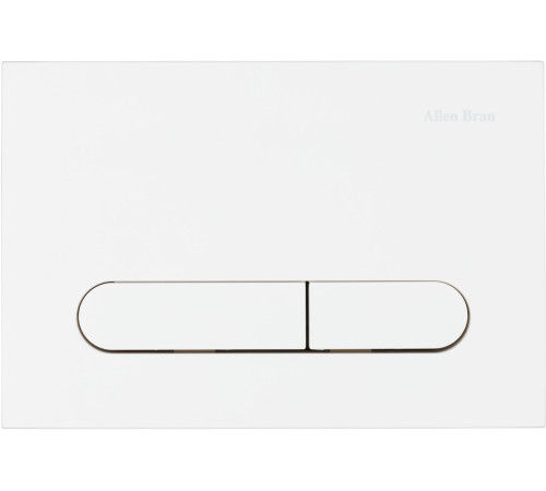 Клавиша смыва Allen Brau Project Color 9.2PR01.21 белый матовый