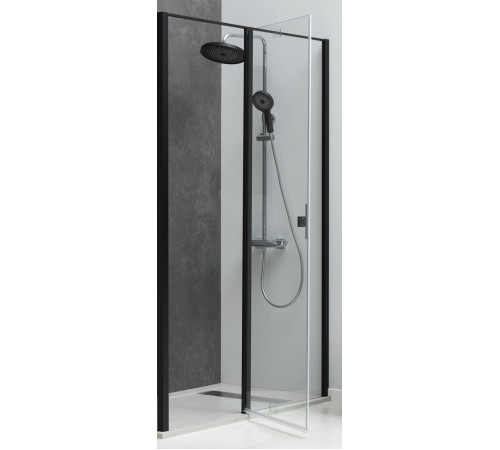 Душевая дверь Allen Brau Priority 100 3.31030.BBA черный браш