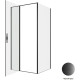Душевой уголок Allen Brau Priority 100x90 3.31030.BBA + 3.31045.BBA черный браш