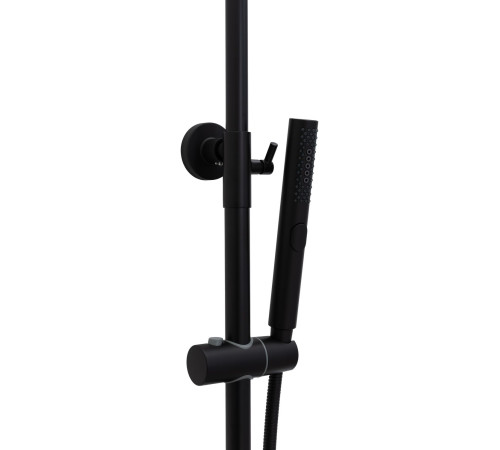 Душевая стойка Allen Brau Priority 5.31031-31 черный матовый