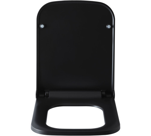Крышка-сиденье для унитаза Allen Brau Infinity 4.21014.31 черный матовый