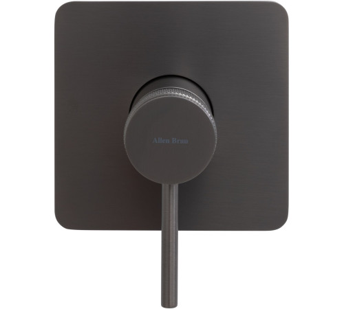 Смеситель для душа Allen Brau Priority 5.31012-MG (с внутренней частью, 1 выход) графит браш