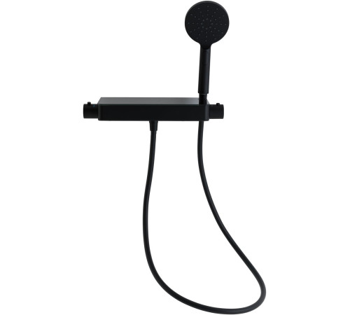 Смеситель для душа Allen Brau Fantasy 5.11002-31 черный матовый