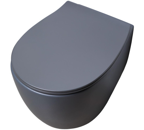 Чаша подвесного унитаза Allen Brau Fantasy 4.11004.AN антрацит