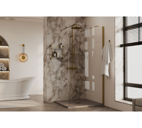 Душевая перегородка Allen Brau Infinity 2 100 3.21037.BA серебро браш