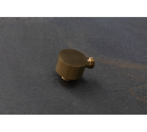 Шланговое подключение Allen Brau Priority 5.31A15-GB золото