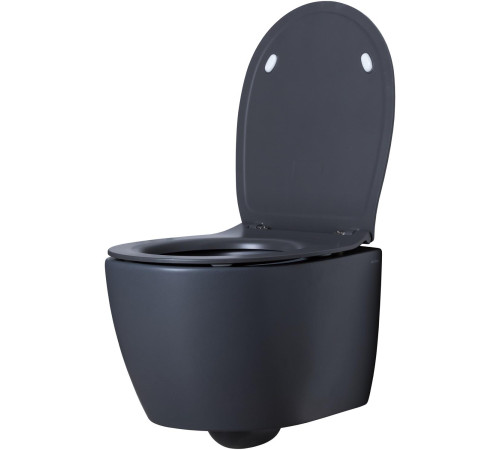 Чаша подвесного унитаза Allen Brau Fantasy 4.11004.AN антрацит
