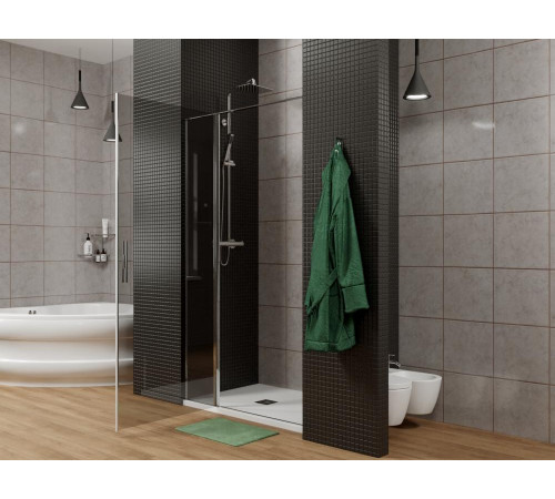 Душевая дверь Allen Brau Priority 120 3.31007.00G хром