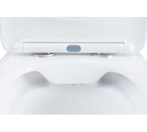 Чаша унитаза Aquanet Fine Rimless FINE-C Soft Close