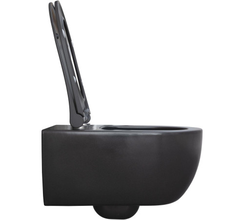 Чаша подвесного унитаза Allen Brau Priority 4.31001.AN антрацит