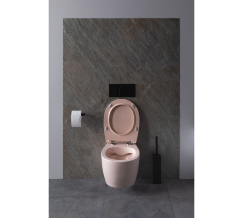 Чаша подвесного унитаза Allen Brau Fantasy 4.11004.SM розовый