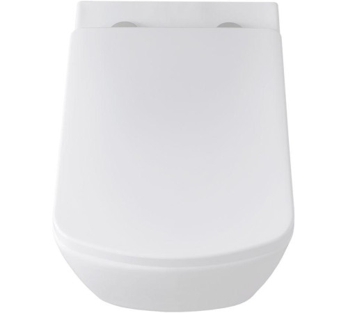 Чаша подвесного унитаза Allen Brau Liberty 4.33004.20 белый глянец