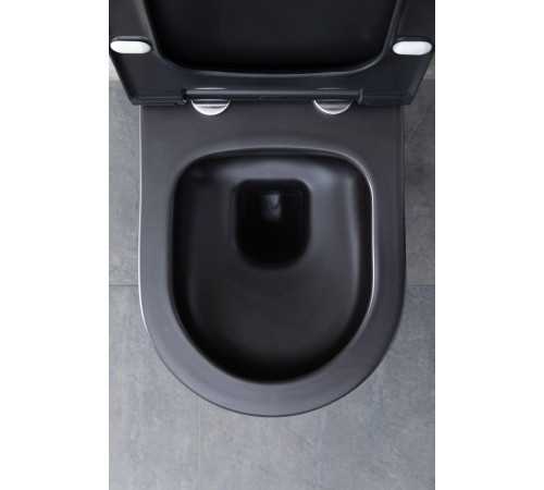 Чаша подвесного унитаза Allen Brau Priority 4.31001.31 черный матовый