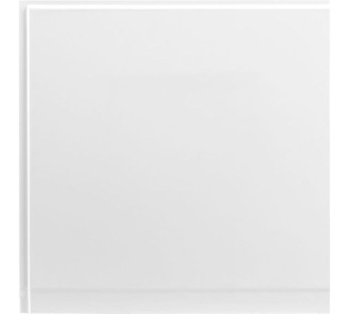 Боковой экран Aquanet Palma 60 L