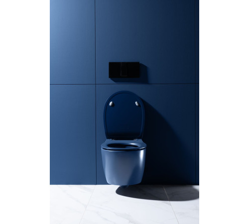 Чаша подвесного унитаза Allen Brau Fantasy 4.11004.ID индиго