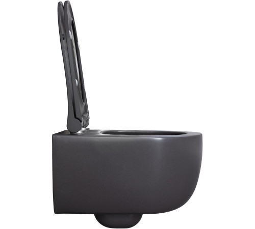 Чаша подвесного унитаза Allen Brau Priority 4.31002.AN антрацит