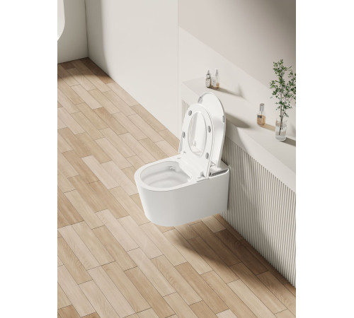 Унитаз подвесной Allen Brau Smart 4.I1001.20 белый, с функцией биде