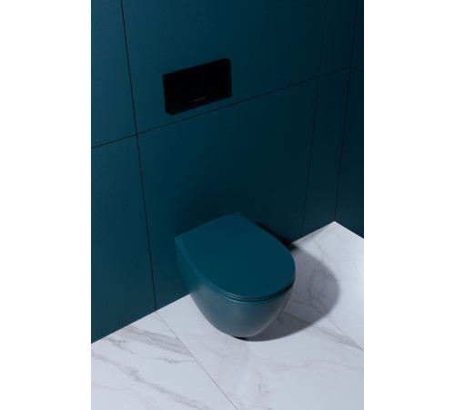 Чаша подвесного унитаза Allen Brau Fantasy 4.11004.PT петроль