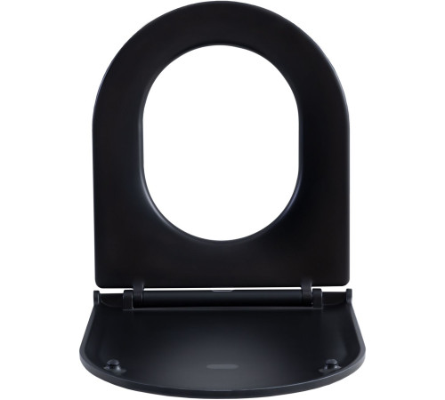 Сиденье для унитаза Aquanet Lake черный матовый