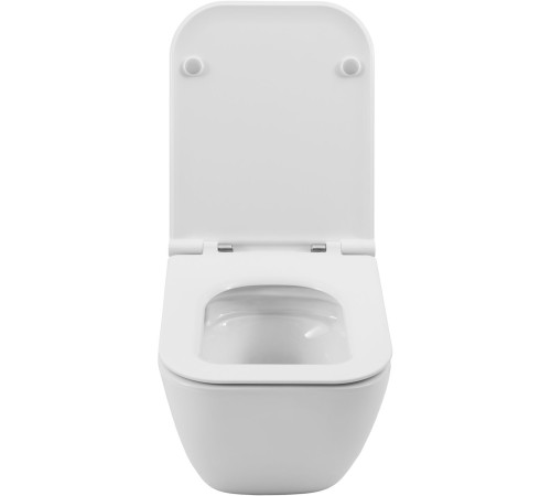 Чаша подвесного унитаза Allen Brau Liberty 4.33012.20 белый