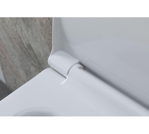 Унитаз с инсталляцией Allen Brau Priority 4.31002.20/8.9466.0.000.000.1 белый глянец