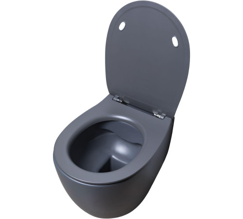 Чаша подвесного унитаза Allen Brau Fantasy 4.11004.AN антрацит