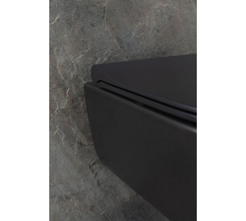 Чаша подвесного унитаза Allen Brau Priority 4.31002.31 черный матовый