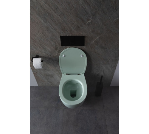 Чаша подвесного унитаза Allen Brau Fantasy 4.11004.MT мятный