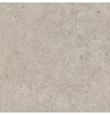 Керамогранит Риккарди SG653820R Бежевый матовый 60х60