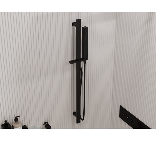 Душевой гарнитур Allen Brau Infinity 5.21013-31 черный матовый