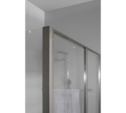 Душевая дверь Allen Brau Priority 140 3.31011.BA серебро браш