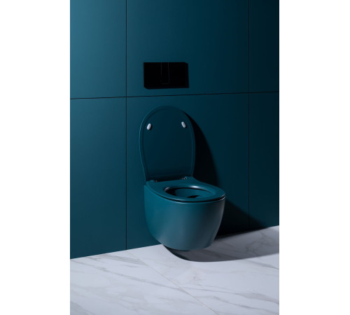 Чаша подвесного унитаза Allen Brau Fantasy 4.11004.PT петроль