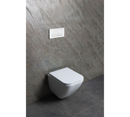 Чаша подвесного унитаза Allen Brau Liberty 4.33012.20 белый