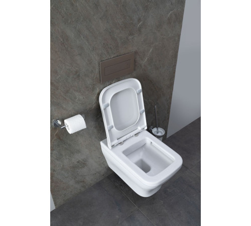 Чаша подвесного унитаза Allen Brau Infinity 4.21011.20 белый глянец