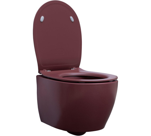 Чаша подвесного унитаза Allen Brau Fantasy 4.11004.BD бордо