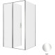 Душевой уголок Allen Brau Priority 120x100 3.31031.00 + 3.31046.00 хром
