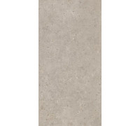 Керамогранит Риккарди SG540620R Бежевый матовый 60х119.5