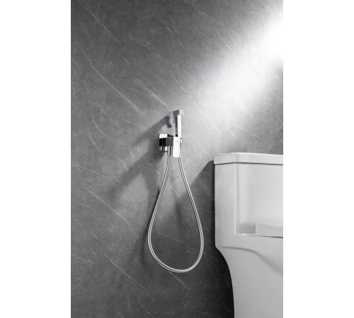 Смеситель с гигиеническим душем Allen Brau Infinity 5.21005-00 (с внутренней частью) хром