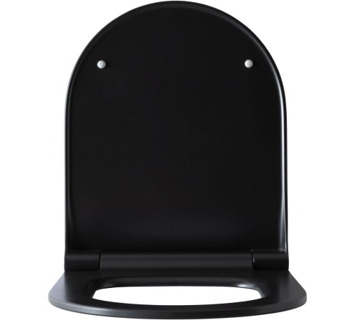 Крышка-сиденье для унитаза Allen Brau Priority 4.31004.31 черный матовый
