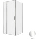 Душевой уголок Allen Brau Priority 90x100 3.31025.00 + 3.31046.00 хром