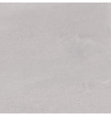 Керамогранит Про Матрикс DD602020R Светло-серый матовый 60х60