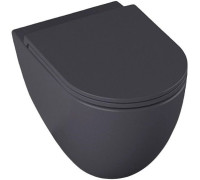 Чаша подвесного унитаза Allen Brau Reality 4.32006.AN антрацит