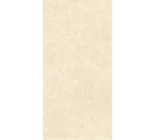 Керамогранит 60х120 SandStone Песочный матовый R10A