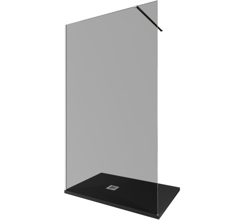 Душевая перегородка Allen Brau Infinity 1 120 3.21020.BA.T серебро браш