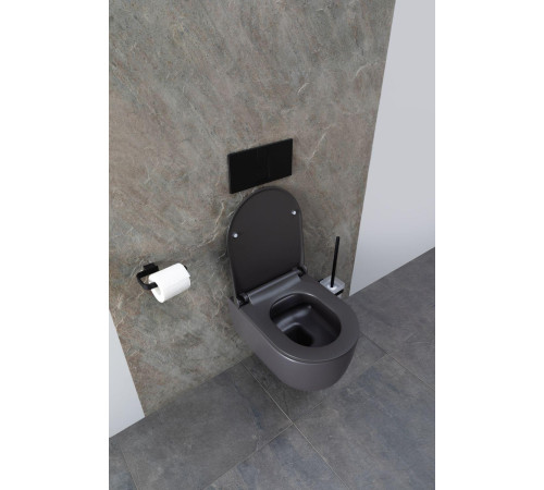 Чаша подвесного унитаза Allen Brau Priority 4.31002.AN антрацит